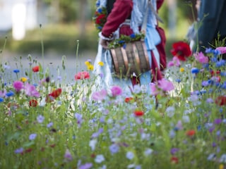 Kultur und Natur in Einklang