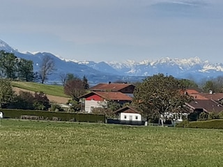 Alpenpanorama