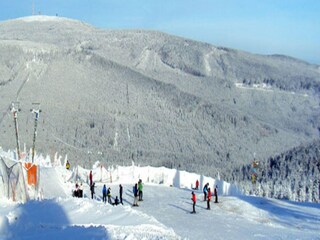 Appartement Elbingerode Environnement 31