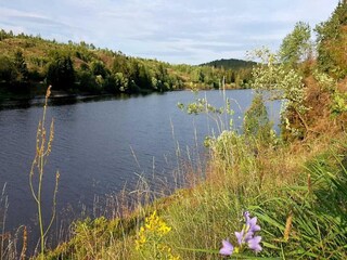 Appartamento Elbingerode Ambiente 21