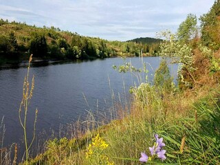 Apartment Elbingerode Umgebung 23