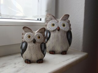 Appartement Elbingerode  33