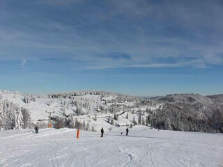 Appartement Elbingerode Environnement 17