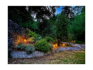 Garten am Abend