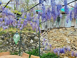 Terrasse mit schattiger Pergola