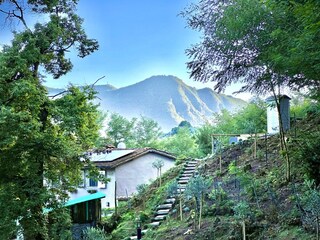 The house and the garden