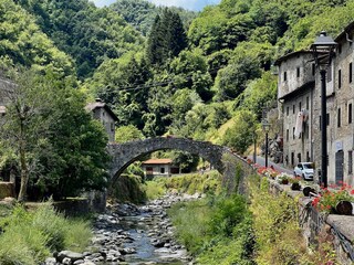 Cottage Borgo a Mozzano Environment 38
