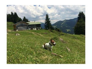 Vakantieappartement Balderschwang Omgeving 24