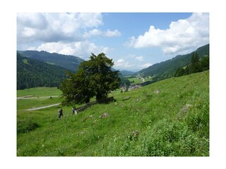 Vakantieappartement Balderschwang Omgeving 26