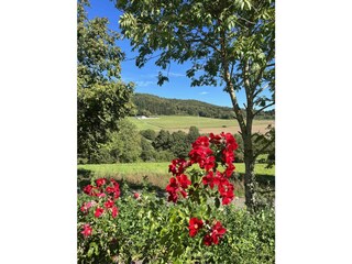 Appartement Daun Buitenaudio-opname 31