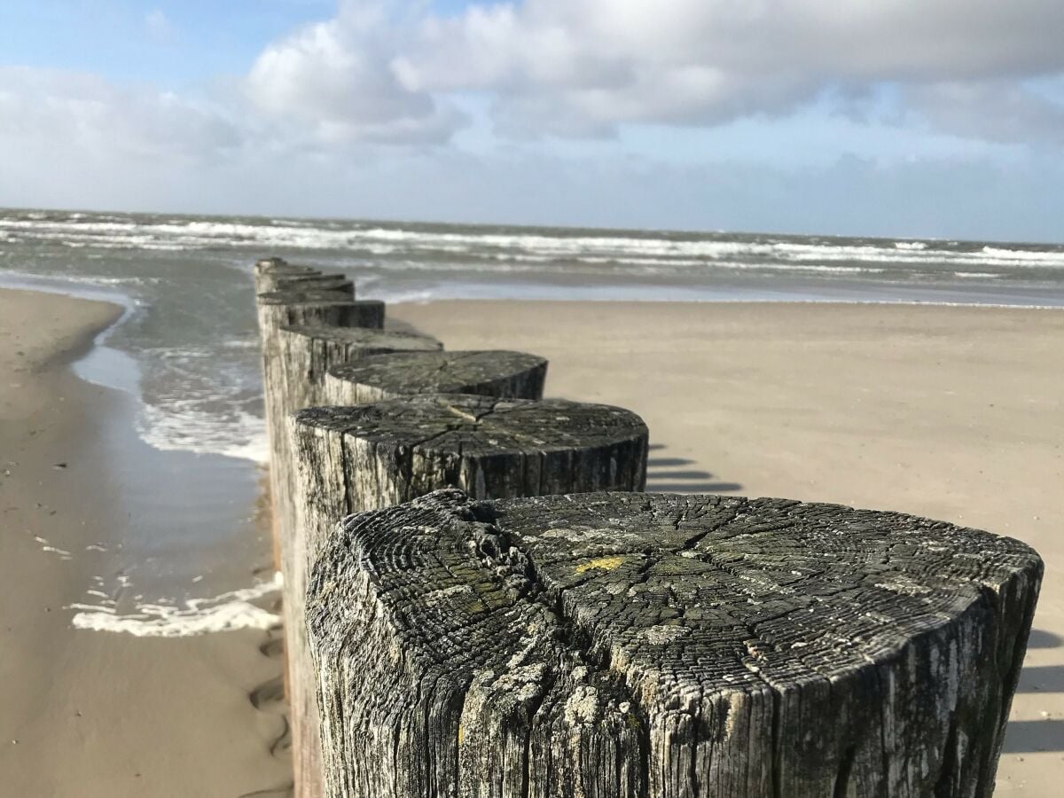 Die Pfähle auf dem Strand