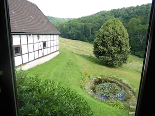 Holiday apartment Polle Outdoor Recording 10