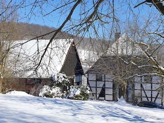 Holiday apartment Polle Outdoor Recording 1