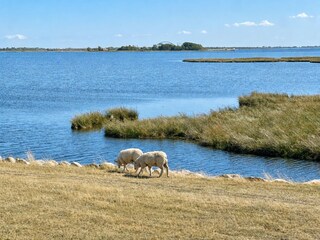 Spaziergang Lemkenhafen