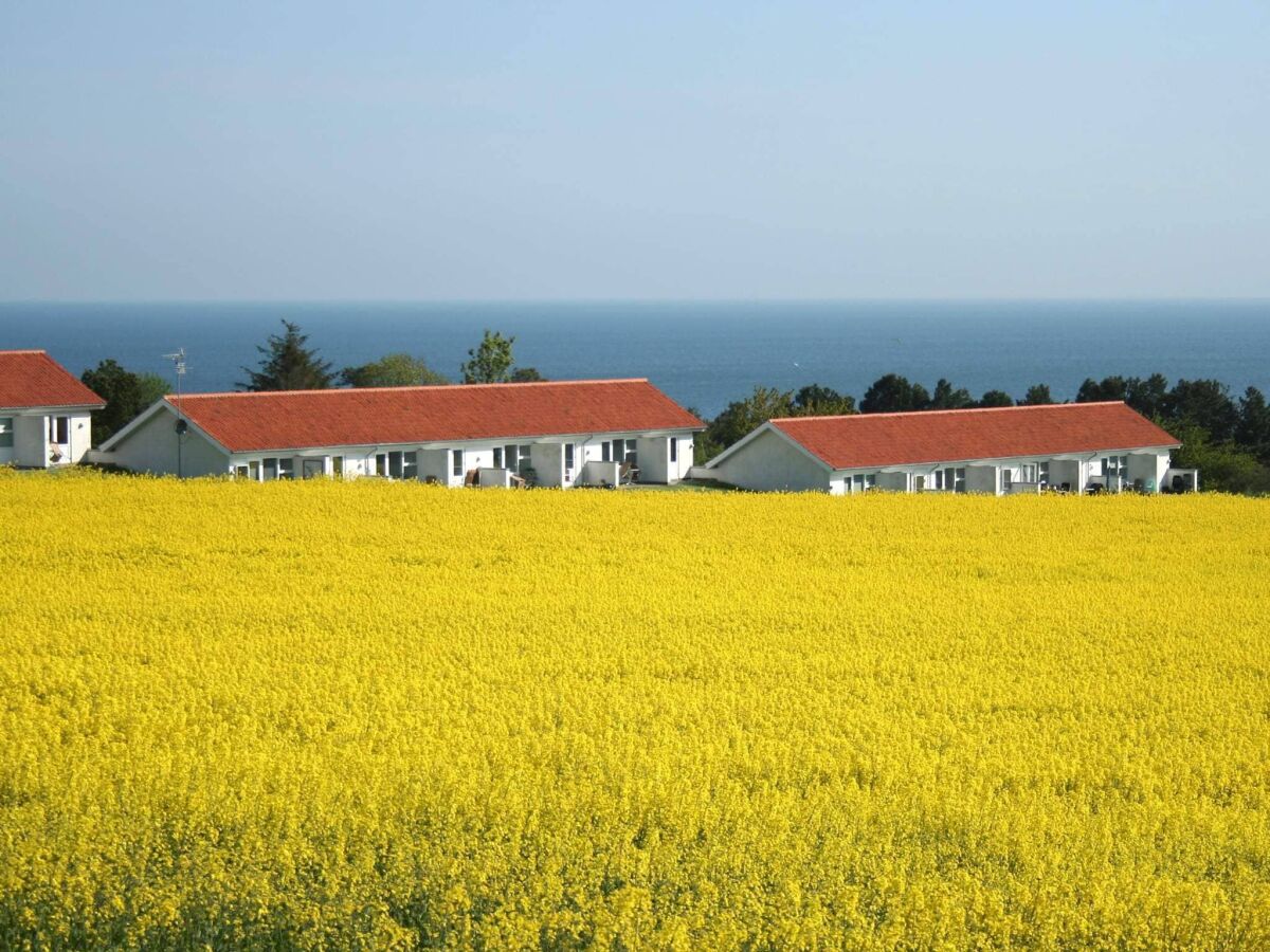 Apartamento Allinge Grabación al aire libre 1