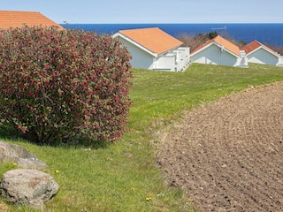 Apartment Allinge  8