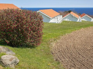 Appartement Allinge  8