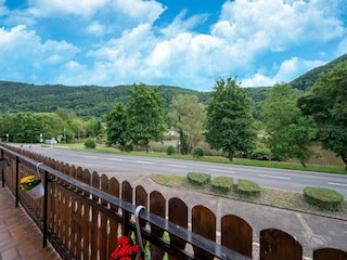 Ferienhaus Nehren an der Mosel Außenaufnahme 9