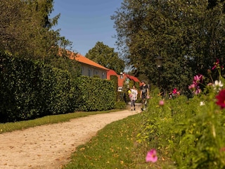 Holiday park Lage Mierde Environment 11