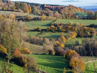 Parc de vacances Vijlen Environnement 11