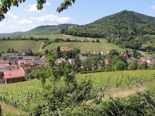 Landschaft mit Leinsweiler sommer 2014 (61)