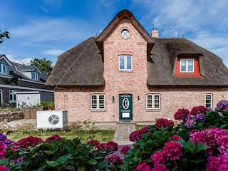 Ferienhaus Oevenum Außenaufnahme 17