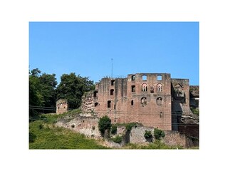IMG-20230709-WA0013