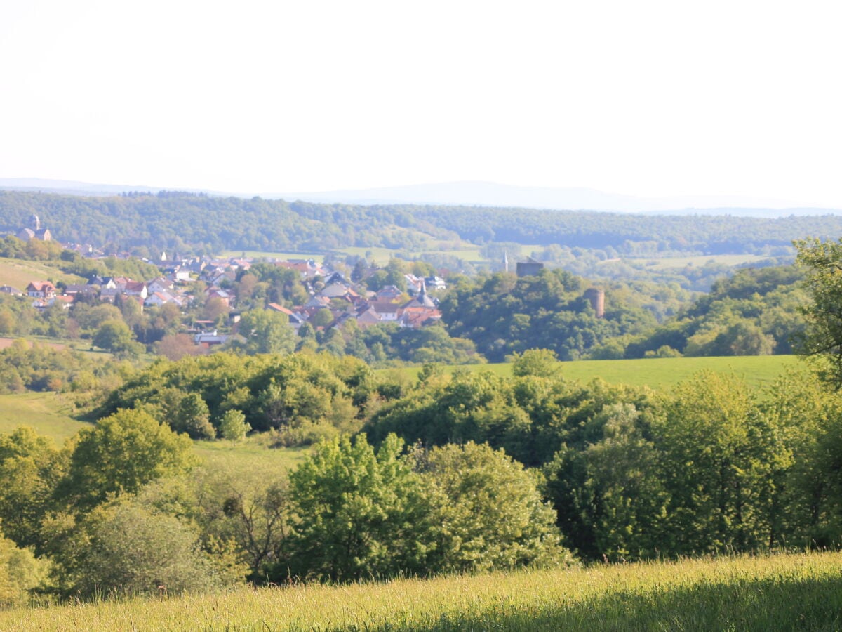 Blick auf Burgsponheim und Sponheim