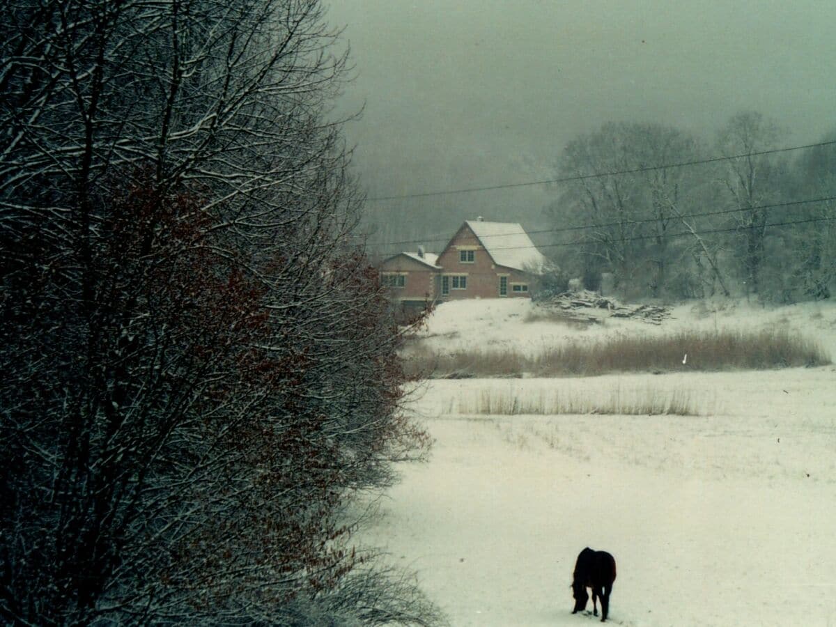 Winterimpressionen noch im Rohbau 2002