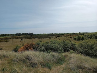 Vakantiehuis Stauning  35