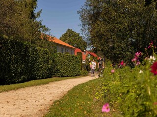 Parc de vacances Lage Mierde Environnement 11