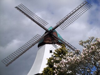 Appartement de vacances Kappeln (Stadt) Environnement 20