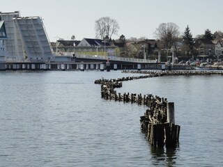 Appartement de vacances Kappeln (Stadt) Environnement 21