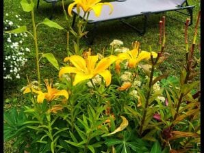 Appartamento Appartement Berghof "Dettis Place"