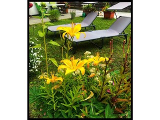 c27c0ab7-8a60-4995-8306-de0cf788d81e