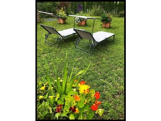 da629d66-27c9-41e1-a07e-8087ad95f3f3