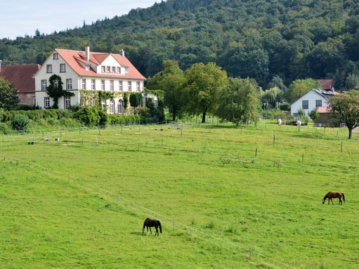 The manor house at the foot of the Eichelberg