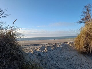 Kilometerweite Strand & Dünenwege