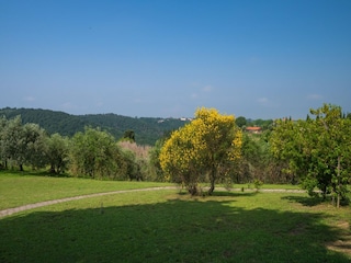 Casa de vacaciones Castelfalfi Grabación al aire libre 15