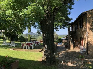 Apartment Castelfalfi Outdoor Recording 5