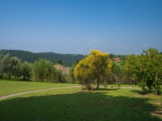 Appartamento Castelfalfi Registrazione all'aperto 6