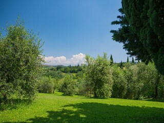 Appartamento Montaione (FI) Registrazione all'aperto 27