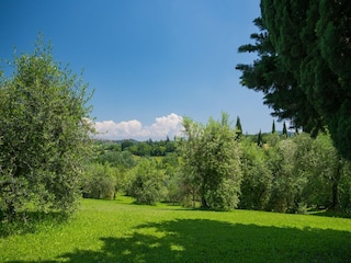 Apartment Montaione (FI) Außenaufnahme 32