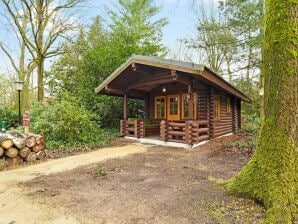 Holiday park Lodge mit Whirlpool, 18 km. aus Tilburg - Lage Mierde - image1