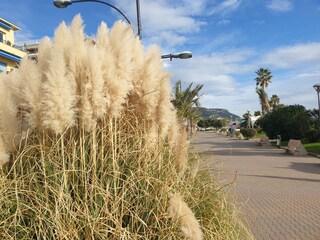 Ferienwohnung Pietra Ligure Umgebung 26