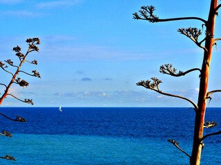 Holiday apartment Pietra Ligure Environment 28