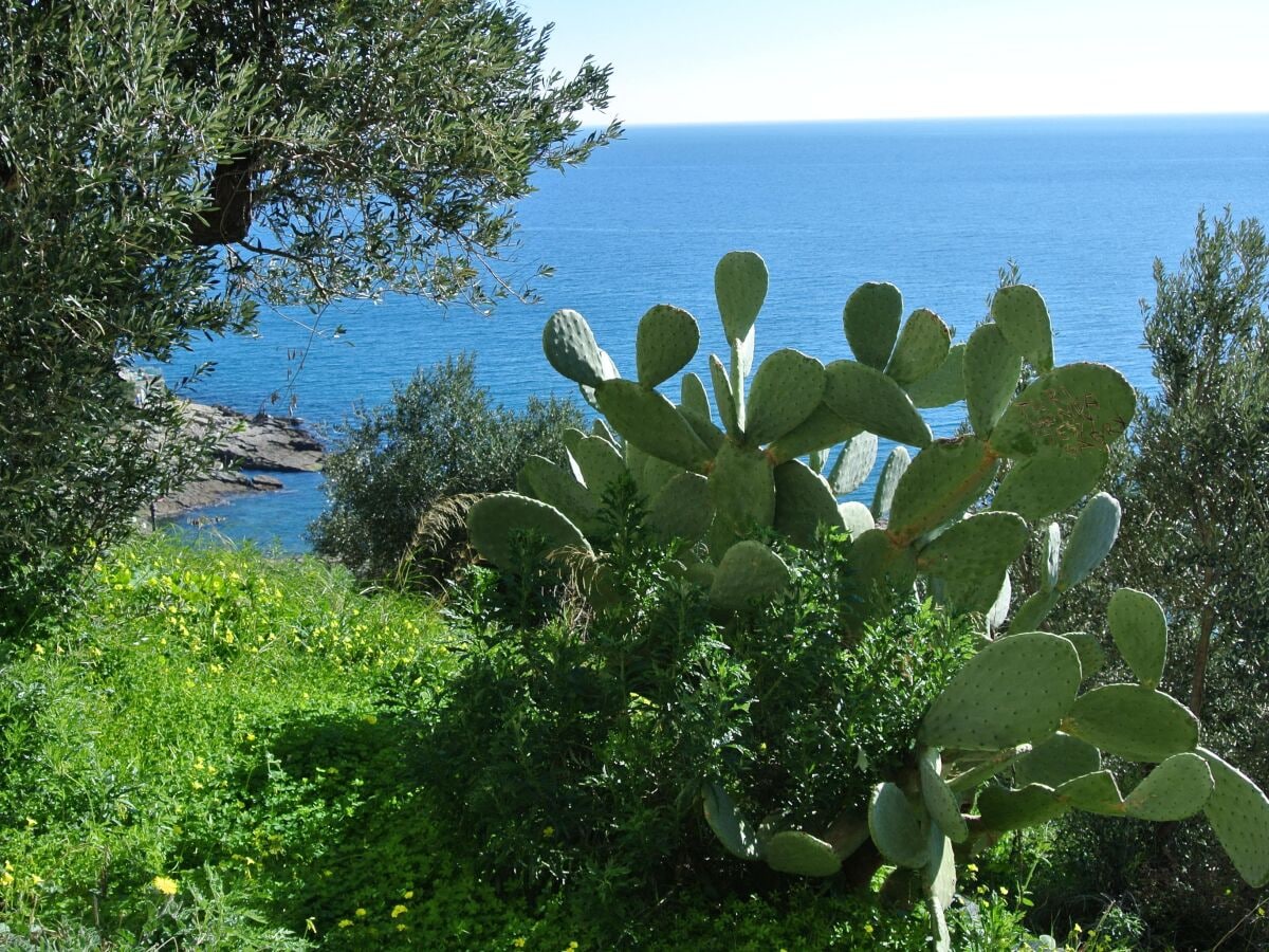 Ferienwohnung Pietra Ligure Umgebung 30