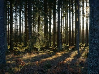 Holiday house Flen  10