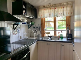 Ferienhaus Flen  13
