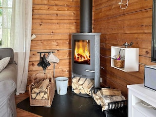 Ferienhaus Flen  4